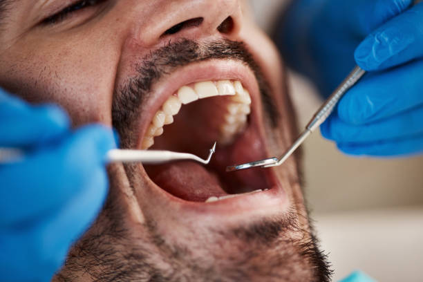 Holistic Dental Care Services